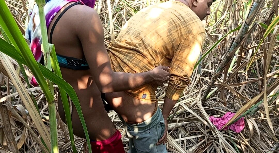 Indian Shemale – Two truck drivers and Shemale Pooja went to the Early this morning, sugarcane field Hard Fucking.