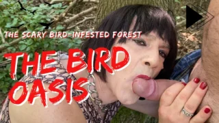The Bird Oasis