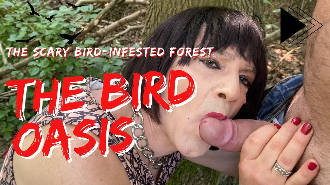 The Bird Oasis